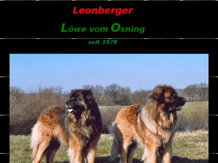 www.leonberger-hun.de