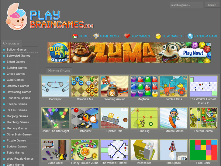 www.playbraingames.com