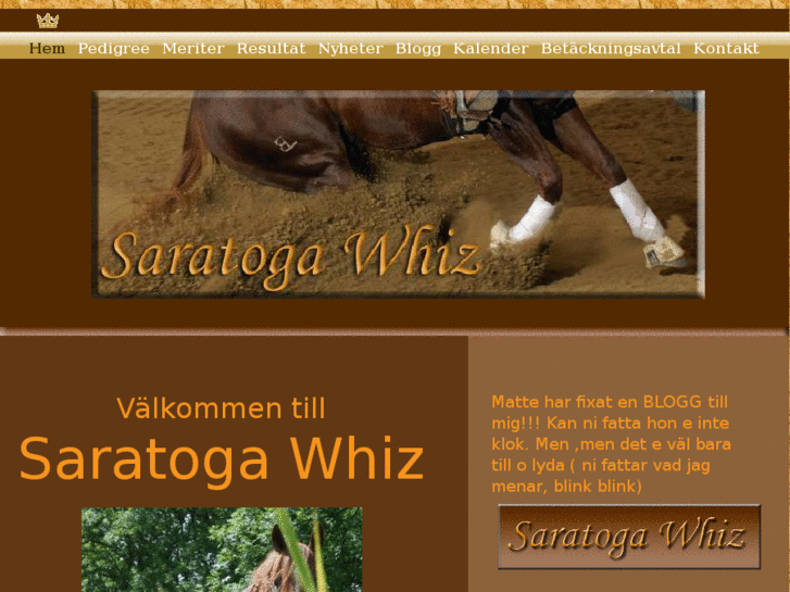 www.saratogawhiz.com