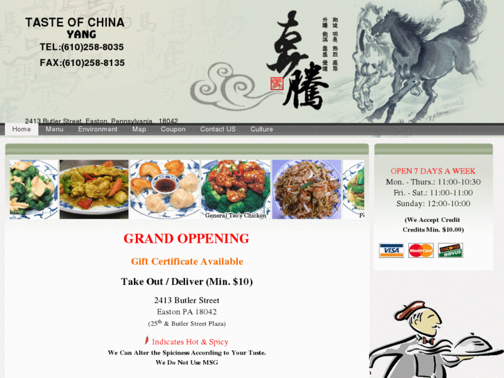 www.tasteofchinayang.com