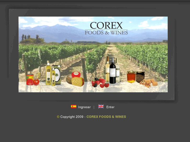 www.corexfoods.com.ar