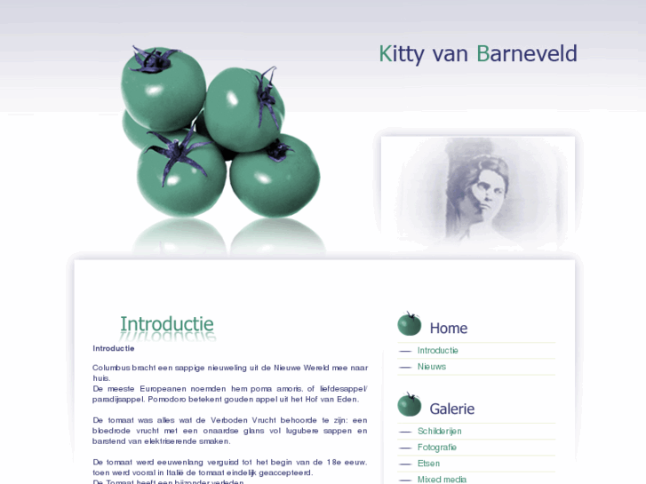 www.kittyvanbarneveld.com