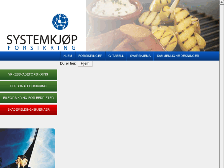 www.systemkjopforsikring.no