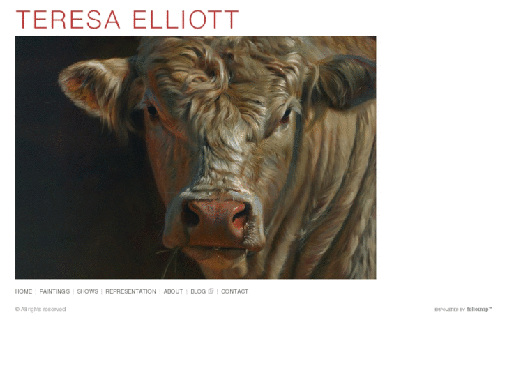 www.teresa-elliott.com