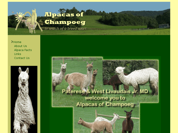 www.alpacasofchampoeg.com