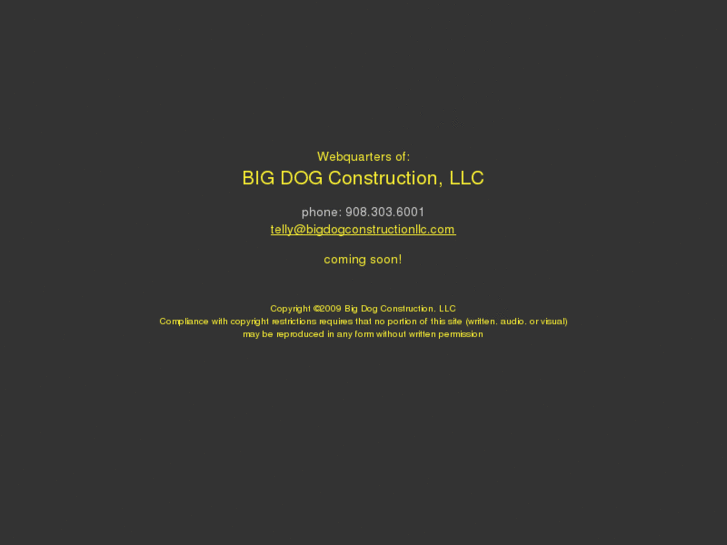 www.bigdogconstructionllc.com