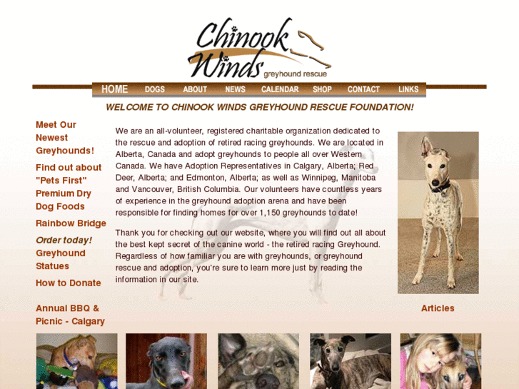 www.chinookwindsgreyhounds.com