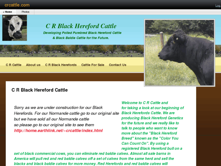 www.crcattle.com