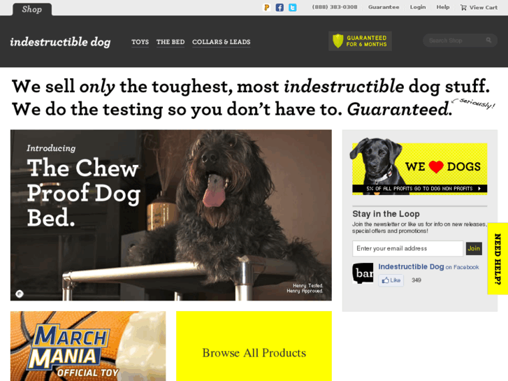 www.indestructabledog.com