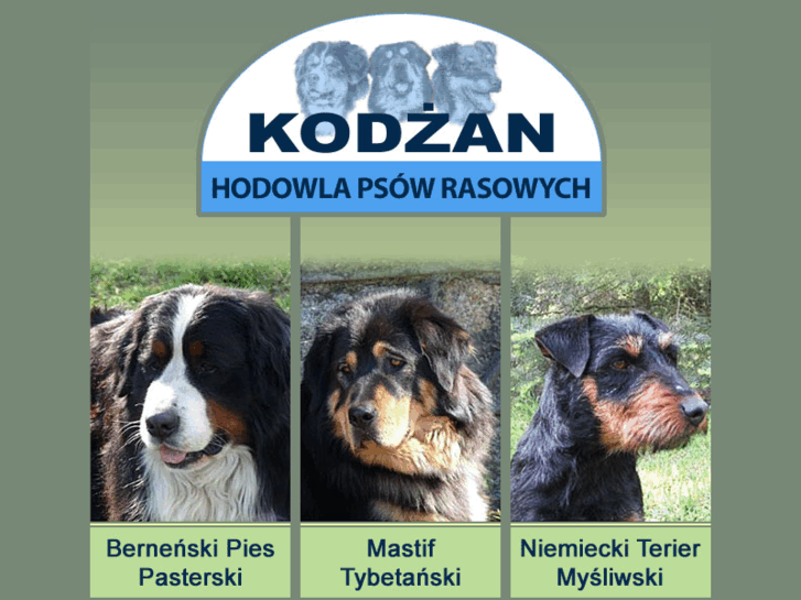 www.kodzan.pl