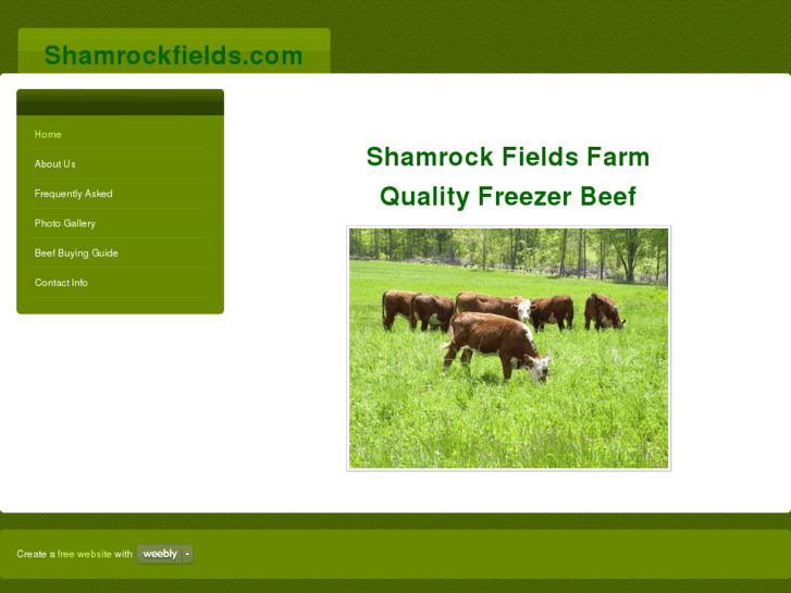 www.shamrockfields.com