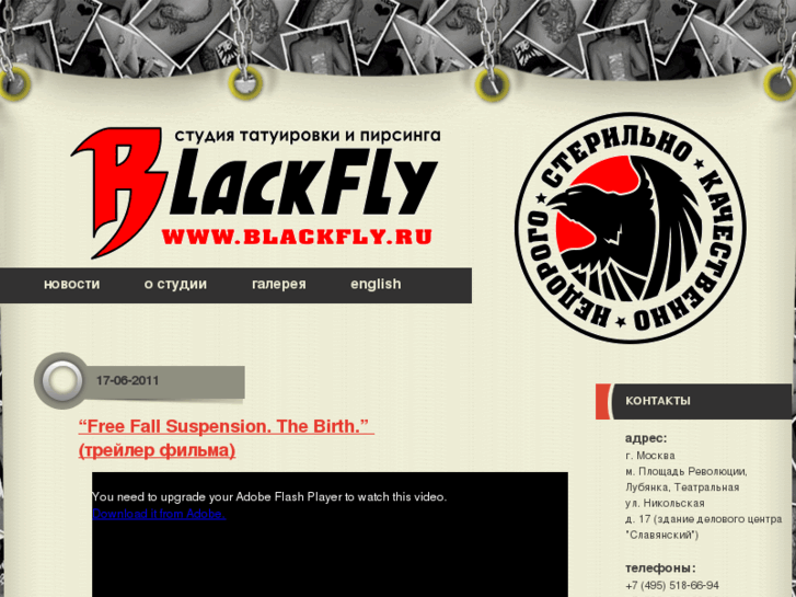 www.blackfly.ru