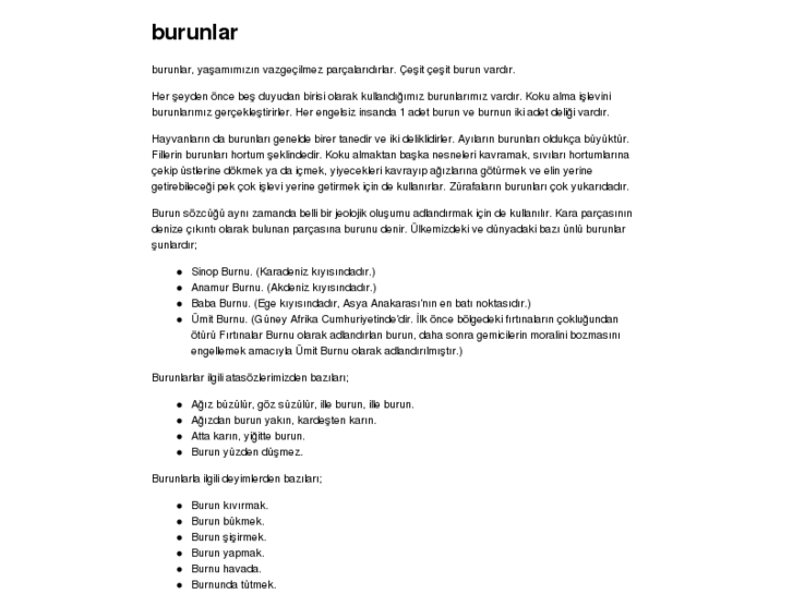 www.burunlar.com