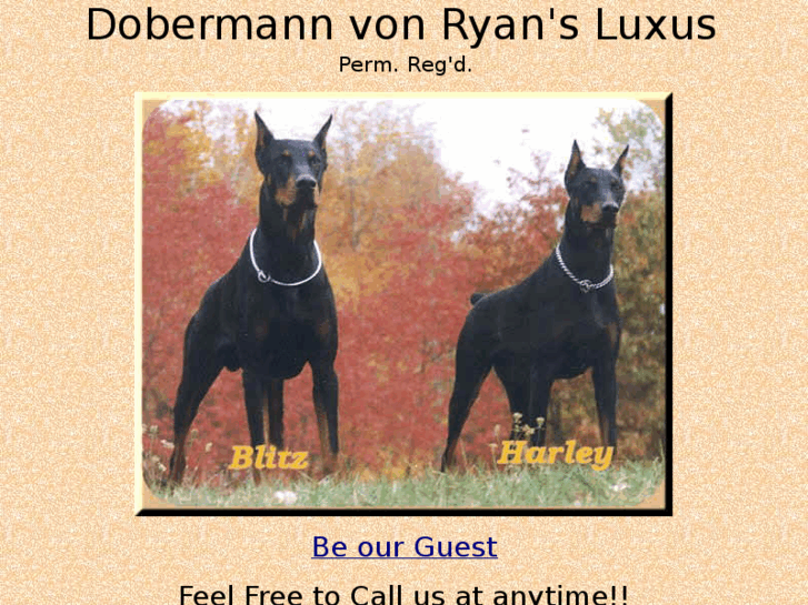 www.dobermanvonryanluxus.com