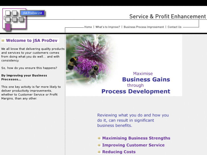 www.jsaprodev.com