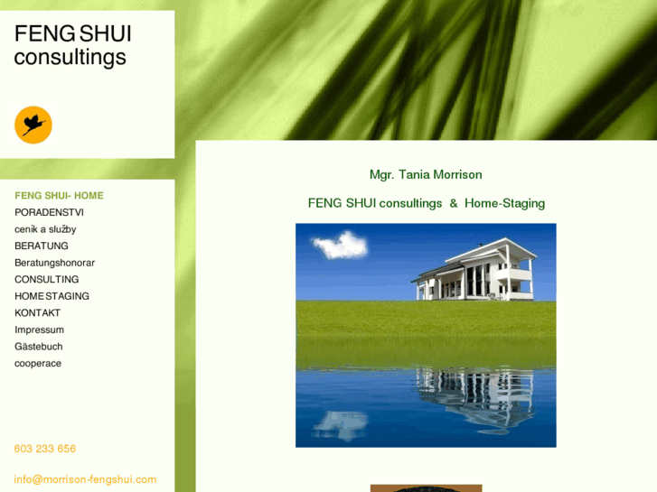 www.morrison-fengshui.com