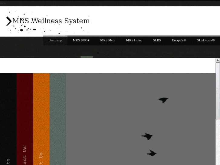 www.mrswellnesssystem.com