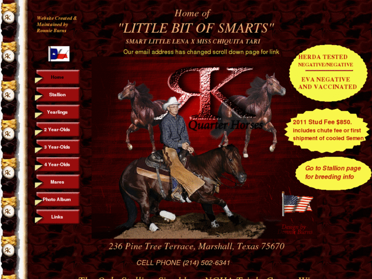 www.rkquarterhorses.com