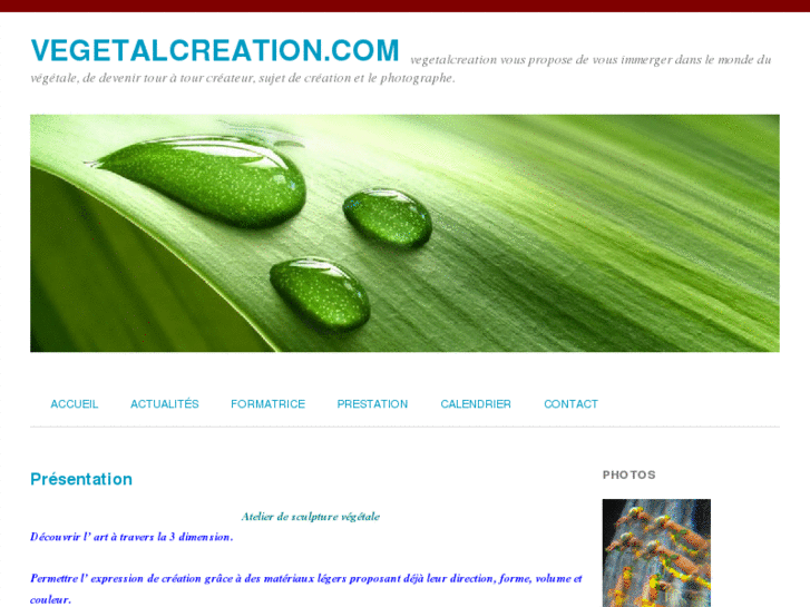 www.vegetalcreation.com