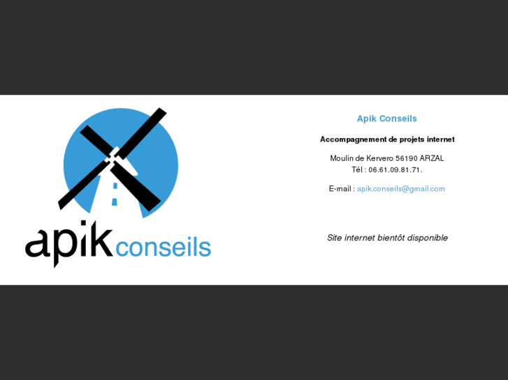 www.apik-conseils.com