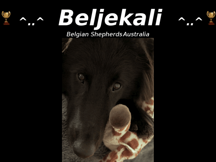 www.beljekali.com