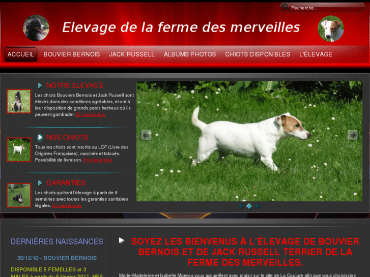 www.bouvier-bernois-jack-russell-elevage-ferme-des-merveilles.com