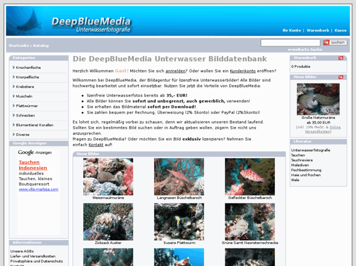 www.deep-blue-media.de