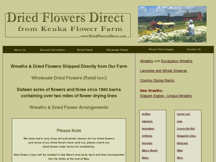 www.driedflowersdirect.com