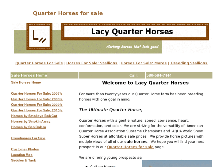 www.lacyquarterhorses.com