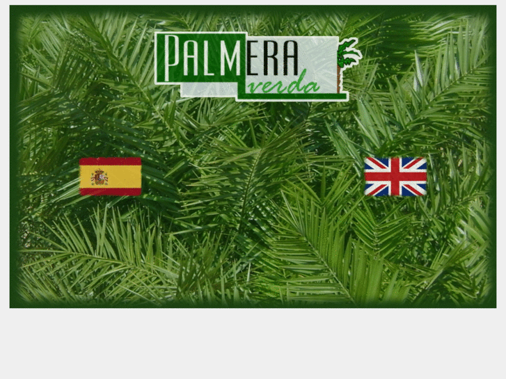 www.palmeraverda.com