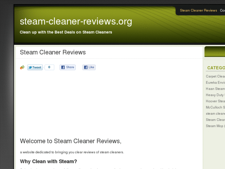 www.steam-cleaner-reviews.org