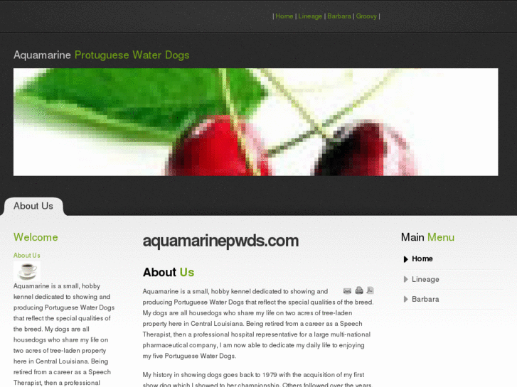 www.aquamarinepwds.com