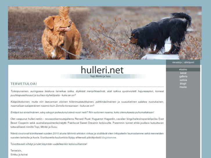 www.hulleri.net