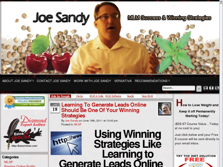 www.joesandymlmsuccess.com