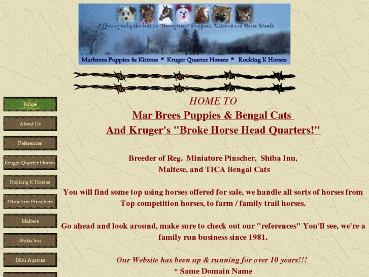 www.krugerquarterhorses.com