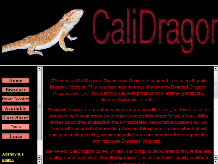 www.calidragons.com