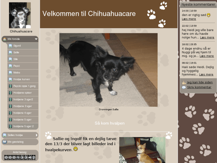 www.chihuahuacare.dk