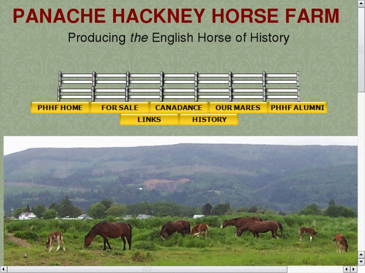 www.hackneyhorse.info