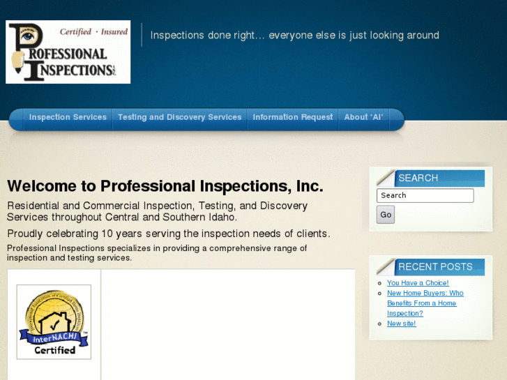 www.professionalinspectionsinc.com