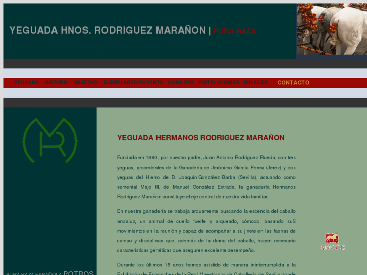 www.rodriguezmaranon.com