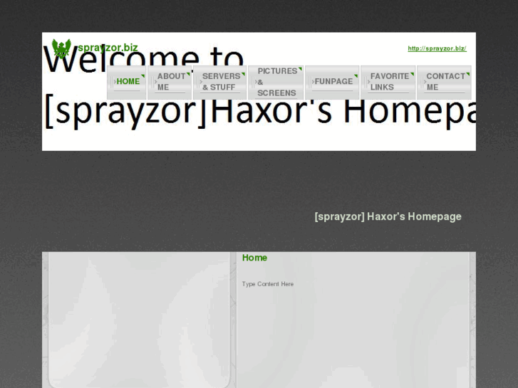 www.sprayzor.biz