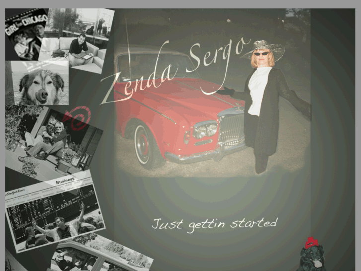 www.zendasergo.com