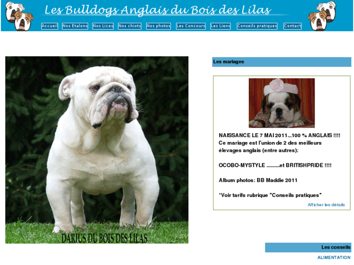 www.bulldogsduboisdeslilas.com