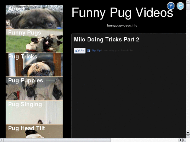 www.funnypugvideos.com