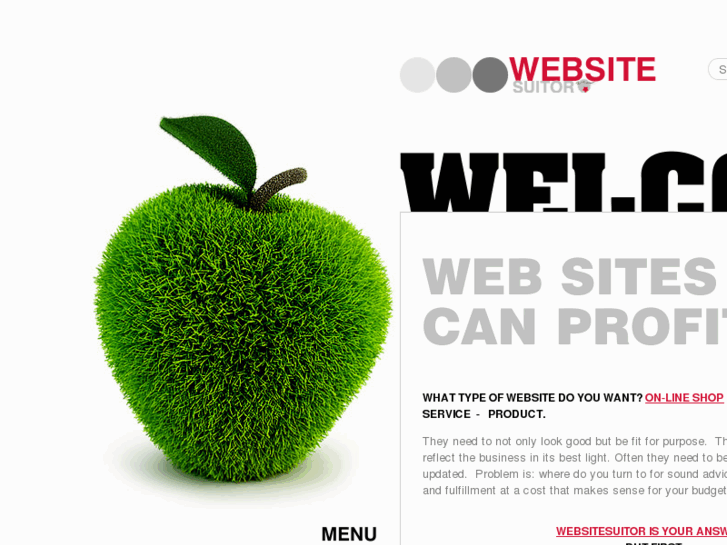 www.websitesuitor.com