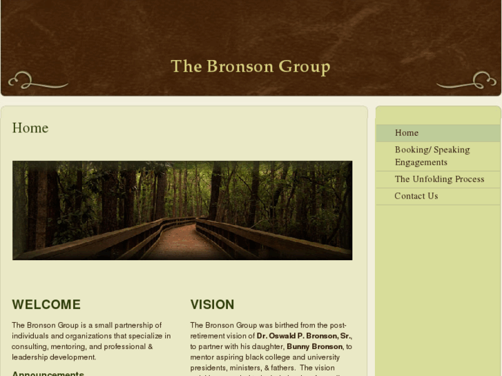 www.bronson-group.com