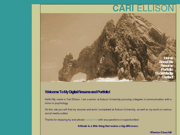 www.cariellison.com