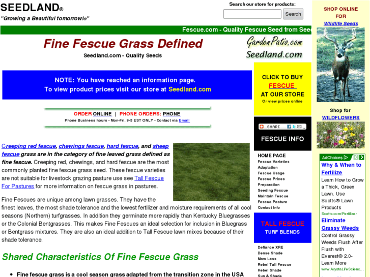 www.finefescue.com