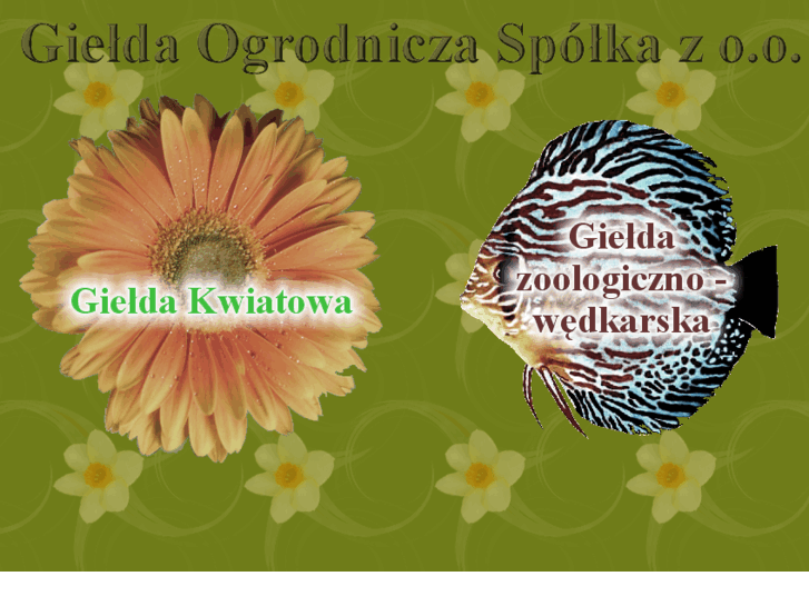 www.goz.pl