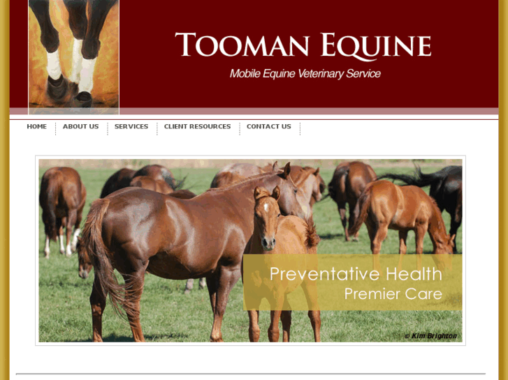 www.ihorsevet.com